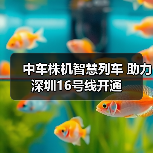 中车株机智慧列车 助力深圳16号线开通 中车株机智慧列车 助力深圳16号线开通