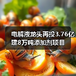 电解液龙头再投3.76亿建8万吨添加剂项目 电解液龙头再投3.76亿建8万吨添加剂项目