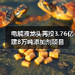 电解液龙头再投3.76亿建8万吨添加剂项目 电解液龙头再投3.76亿建8万吨添加剂项目