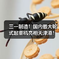 三一制造!国内最大轮式起重机亮相天津港! 三一制造!国内最大轮式起重机亮相天津港!