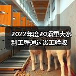2022年度20项重大水利工程通过竣工验收