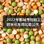 2022年聊城市智能工厂数字化车间名单公示 2022年聊城市智能工厂数字化车间名单公示
