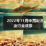 2022年11月中国制造业行业观察 2022年11月中国制造业行业观察
