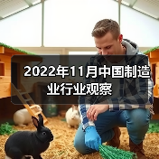 2022年11月中国制造业行业观察 2022年11月中国制造业行业观察