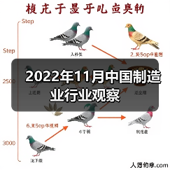 2022年11月中国制造业行业观察 2022年11月中国制造业行业观察