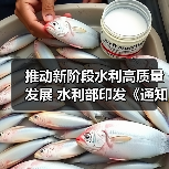 推动新阶段水利高质量发展 水利部印发《通知》 推动新阶段水利高质量发展 水利部印发《通知》