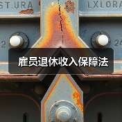 雇员退休收入保障法 雇员退休收入保障法