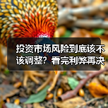 投资市场风险到底该不该调整?看完利弊再决定 投资市场风险到底该不该调整?看完利弊再决定