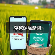 存款保险条例