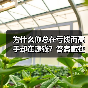 为什么你总在亏钱而高手却在赚钱?答案藏在这两个字里 为什么你总在亏钱而高手却在赚钱?答案藏在这两个字里