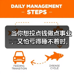 当你想投点钱做点事业,又怕亏得睡不着时,我们该怎么办? 当你想投点钱做点事业,又怕亏得睡不着时,我们该怎么办?