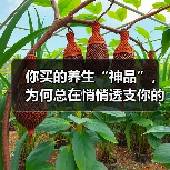你买的养生“神品”，为何总在悄悄透支你的健康账户？
