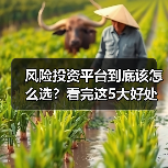 风险投资平台到底该怎么选?看完这5大好处与4个致命风险再决定 风险投资平台到底该怎么选?看完这5大好处与4个致命风险再决定