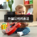 外国公司问责法 外国公司问责法