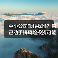 中小公司缺钱找谁?自己动手搞风险投资可能吗? 中小公司缺钱找谁?自己动手搞风险投资可能吗?