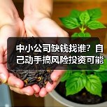 中小公司缺钱找谁?自己动手搞风险投资可能吗? 中小公司缺钱找谁?自己动手搞风险投资可能吗?