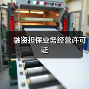 融资担保业务经营许可证 融资担保业务经营许可证