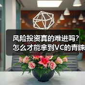 风险投资真的难进吗?怎么才能拿到VC的青睐? 风险投资真的难进吗?怎么才能拿到VC的青睐?
