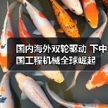 国内海外双轮驱动 下中国工程机械全球崛起