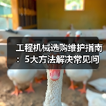 工程机械选购维护指南:5大方法解决常见问题 工程机械选购维护指南:5大方法解决常见问题