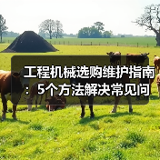 工程机械选购维护指南:5个方法解决常见问题 工程机械选购维护指南:5个方法解决常见问题