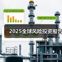 2025全球风险投资报告 2025全球风险投资报告