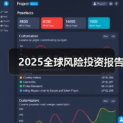 2025全球风险投资报告 2025全球风险投资报告
