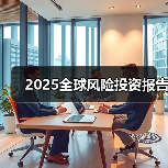 2025全球风险投资报告 2025全球风险投资报告
