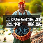 风险投资基金如何改变企业命运?一组数据揭示87.3%的颠覆性创新背后推手 风险投资基金如何改变企业命运?一组数据揭示87.3%的颠覆性创新背后推手