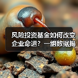风险投资基金如何改变企业命运?一组数据揭示87.3%的颠覆性创新背后推手 风险投资基金如何改变企业命运?一组数据揭示87.3%的颠覆性创新背后推手