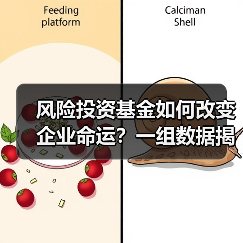 风险投资基金如何改变企业命运?一组数据揭示87.3%的颠覆性创新背后推手 风险投资基金如何改变企业命运?一组数据揭示87.3%的颠覆性创新背后推手