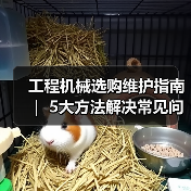 工程机械选购维护指南 | 5大方法解决常见问题解析 工程机械选购维护指南 | 5大方法解决常见问题解析
