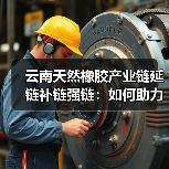 云南天然橡胶产业链延链补链强链:如何助力高质量发展? 云南天然橡胶产业链延链补链强链:如何助力高质量发展?