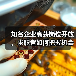 知名企业高薪岗位开放,求职者如何把握机会? 知名企业高薪岗位开放,求职者如何把握机会?