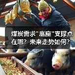 煤炭需求"底座"支撑点在哪？未来走势如何？