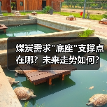煤炭需求"底座"支撑点在哪？未来走势如何？