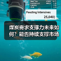 煤炭需求支撑力未来如何?能否持续支撑市场? 煤炭需求支撑力未来如何?能否持续支撑市场?