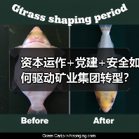 资本运作+党建+安全如何驱动矿业集团转型？