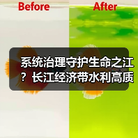 系统治理守护生命之江？长江经济带水利高质量发展路径