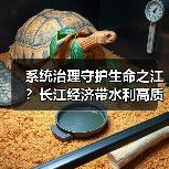 系统治理守护生命之江？长江经济带水利高质量发展路径