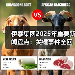伊泰集团2025年重要新闻盘点:关键事件全回顾 伊泰集团2025年重要新闻盘点:关键事件全回顾