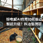 锌电解AI应用如何推动智能升级?株冶集团项目通过验收降耗30kWh 锌电解AI应用如何推动智能升级?株冶集团项目通过验收降耗30kWh