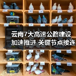 云南7大高速公路建设加速推进 关键节点接连突破 云南7大高速公路建设加速推进 关键节点接连突破