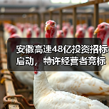 安徽高速48亿投资招标启动,特许经营者竞标机会来了! 安徽高速48亿投资招标启动,特许经营者竞标机会来了!