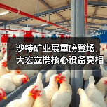 沙特矿业展重磅登场,大宏立携核心设备亮相 沙特矿业展重磅登场,大宏立携核心设备亮相