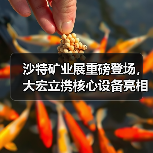 沙特矿业展重磅登场,大宏立携核心设备亮相 沙特矿业展重磅登场,大宏立携核心设备亮相