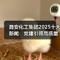 潞安化工集团2025十大新闻:党建引领高质量发展路径解析 潞安化工集团2025十大新闻:党建引领高质量发展路径解析