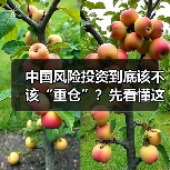 中国风险投资到底该不该“重仓”?先看懂这五大利弊再下注 中国风险投资到底该不该“重仓”?先看懂这五大利弊再下注