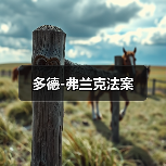 多德-弗兰克法案 多德-弗兰克法案