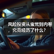 风险投资从蛮荒到内卷,究竟经历了什么? 风险投资从蛮荒到内卷,究竟经历了什么?